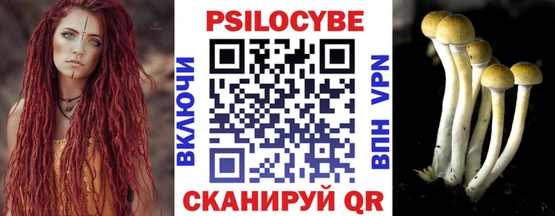 купить  сайты  Ува  Галлюциногенные грибы Psilocybe 